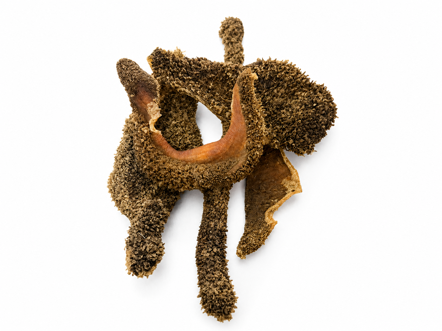 100% Natural Beef Green Tripe — 100g