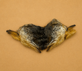 100% Natural Dried Salmon Head
